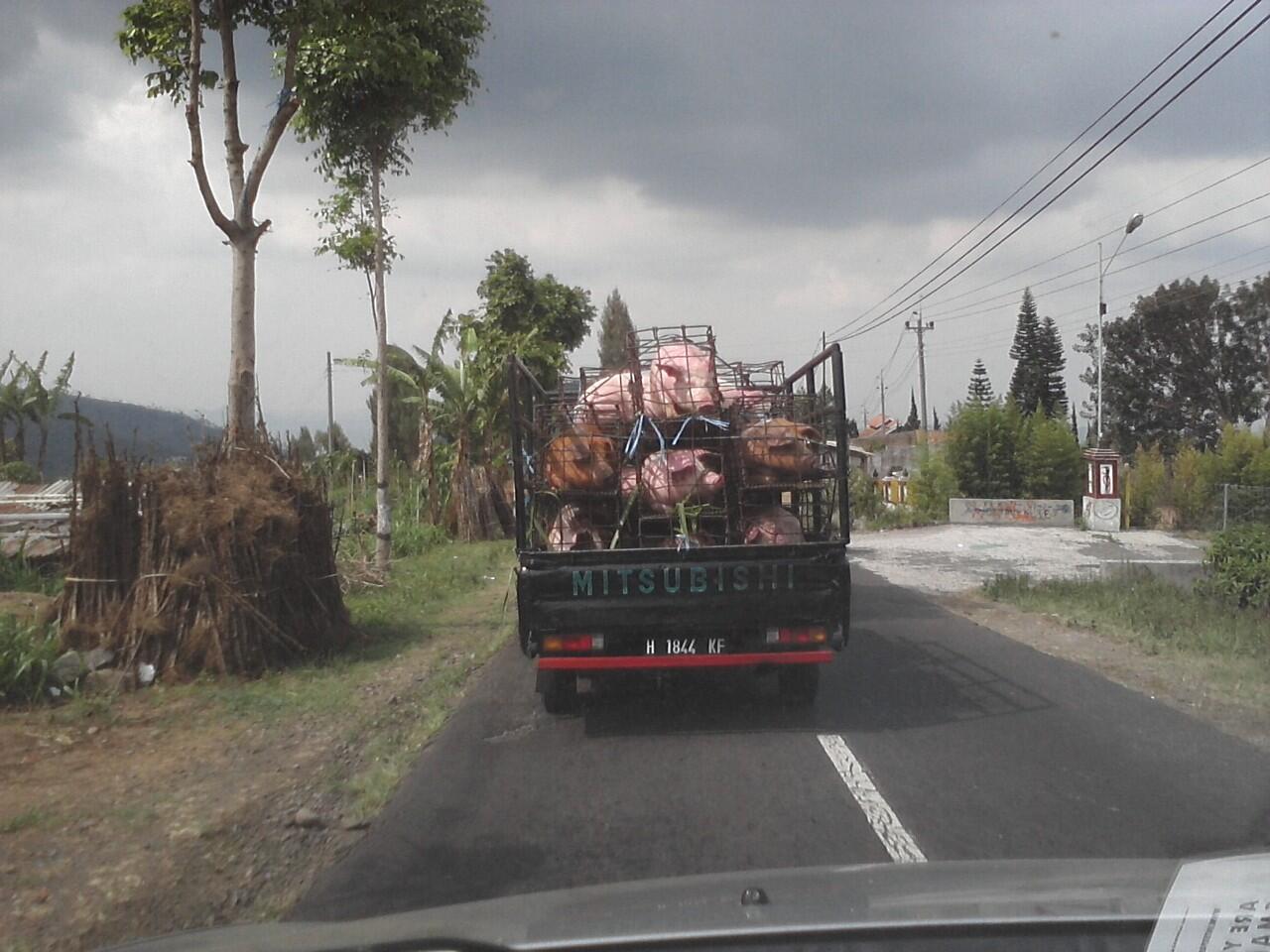 Yang lebih banyak menghabiskan waktu di jalan sempet 