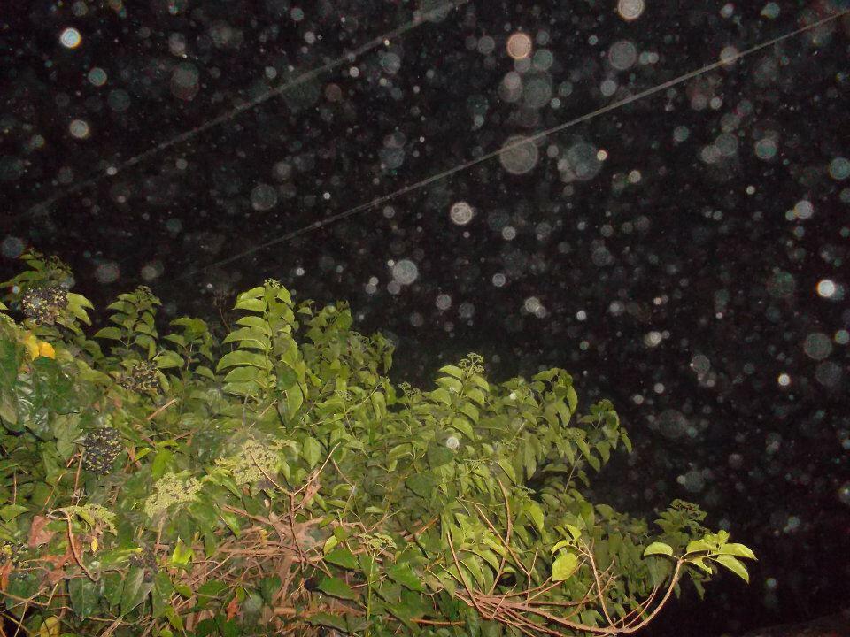 Nih gann Penampakan ORBS di rumah ane 