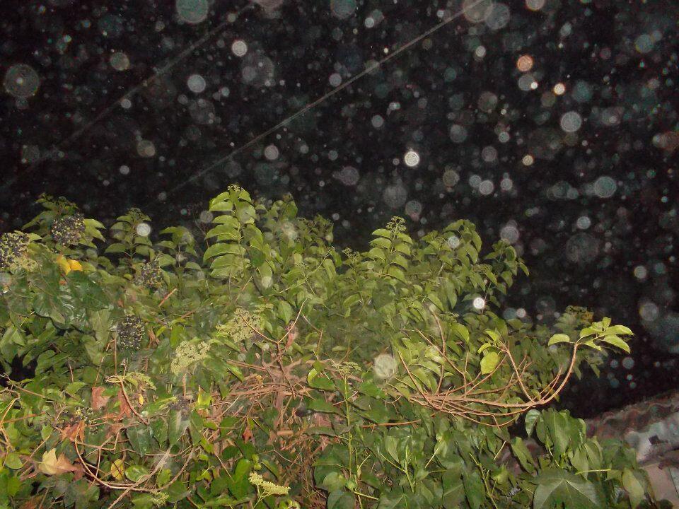 Nih gann Penampakan ORBS di rumah ane 