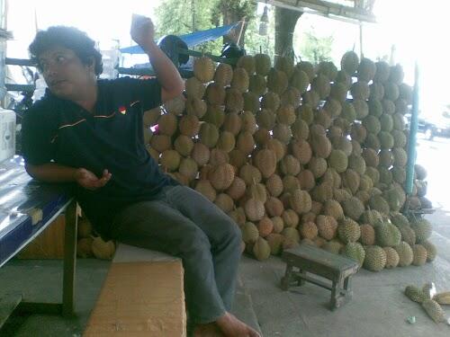 Omset Pedagang Durian Mulai dari Rp 5 Juta sampai Rp 45 Juta Permalam