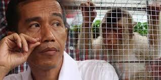 Jokowi: Masa Soal PKL Disadap Juga?