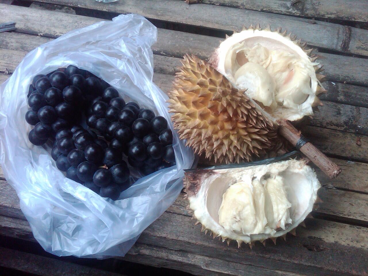 HOLIDAY IN BALI #1