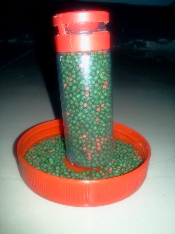 Pelet Spirulina Peningkat Warna Ikan Hias