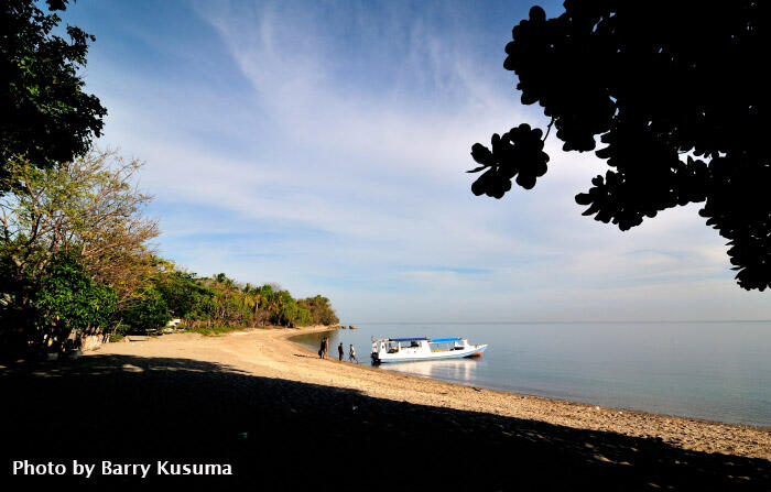 Destinasi Wisata Terbaik di Sumbawa Besar.