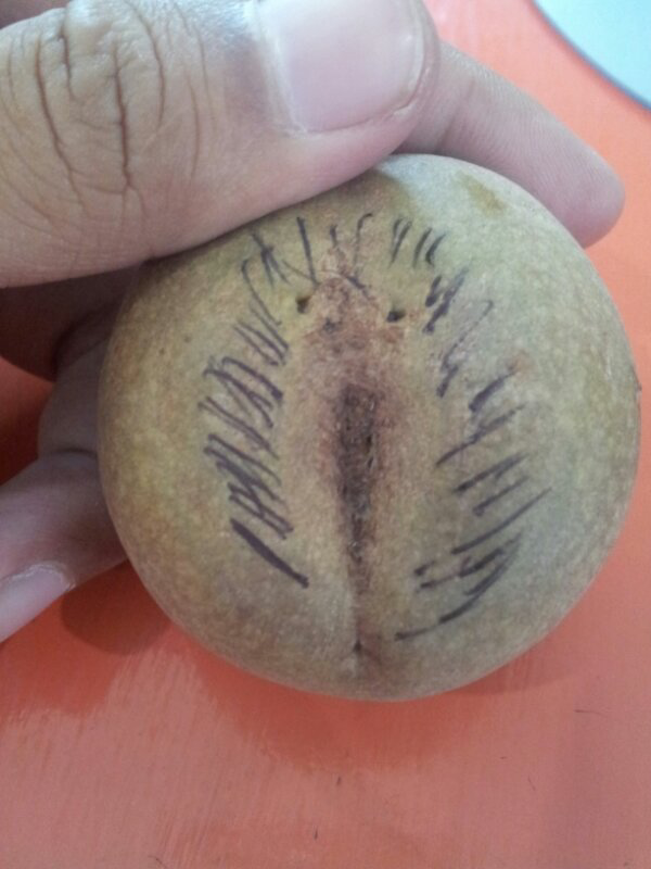 nggak sengaja menemukan buah kayak gini gans