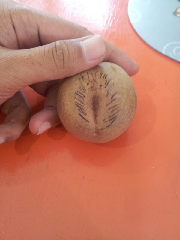 nggak sengaja menemukan buah kayak gini gans