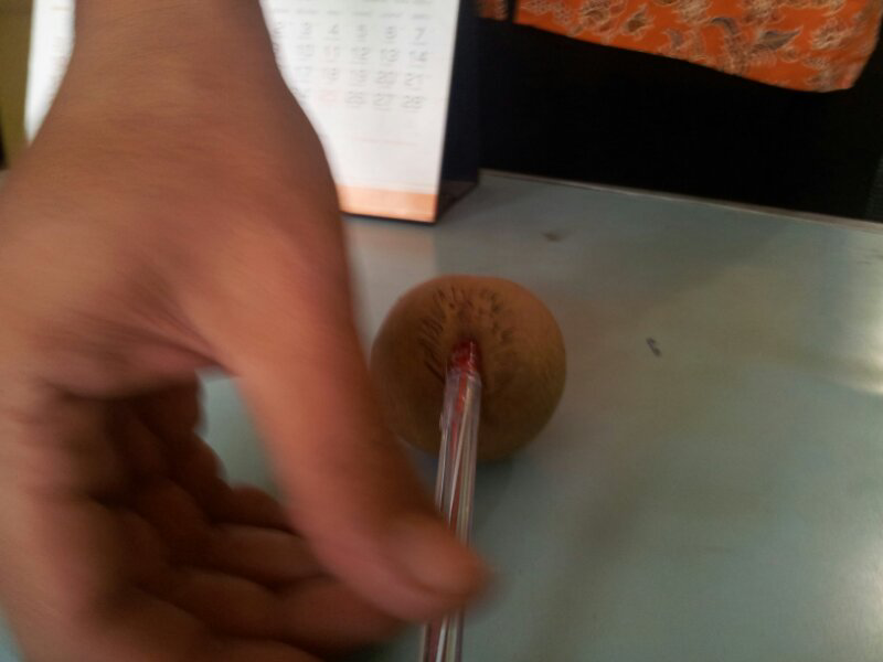 nggak sengaja menemukan buah kayak gini gans