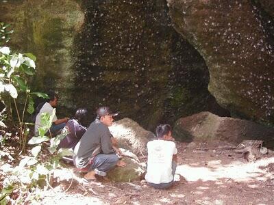 Wisata Bahari Pesisir Barat Menyaingi Bali