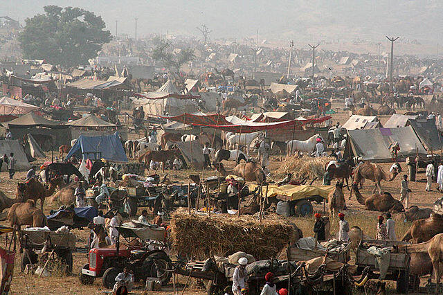 Pameran Mobil? Dah Biasa.. Inilah PUSHKAR FAIR - Pameran UNTA Terbesar Di Dunia Gan !