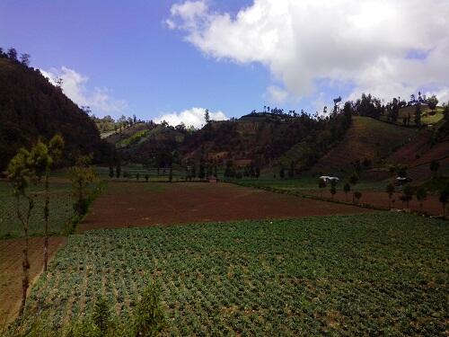 CATPER SEMERU 01 Nov - 05 Nov !! Pendaki Kantoran Amatir .....