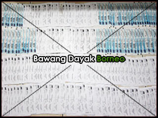 Jual Bawang Dayak / Bawang Berlian, 1 Obat Untuk 50 