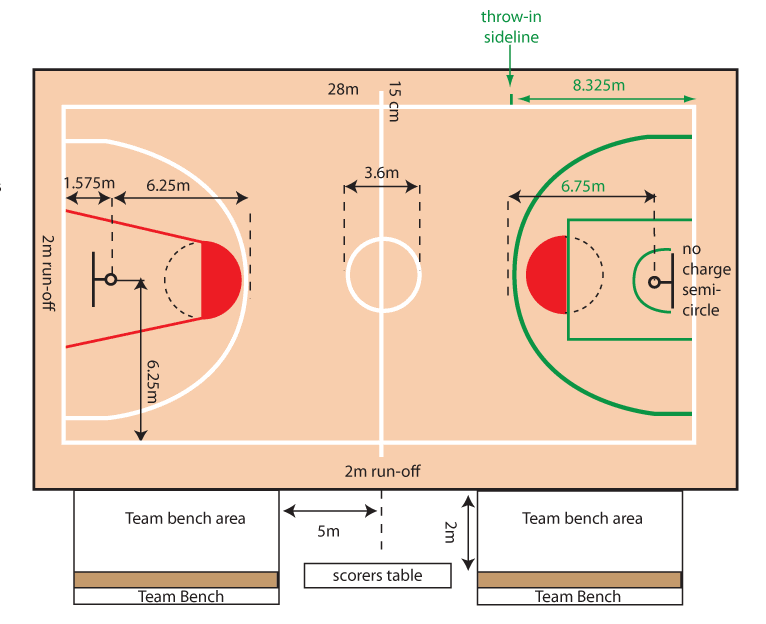 Teknik permainan bola basket profesional