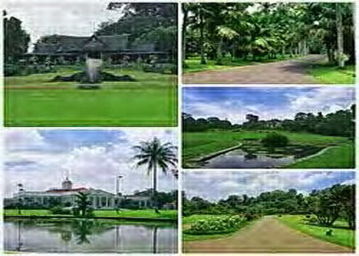 Fakta dan Mitos di Kebun Raya Bogor