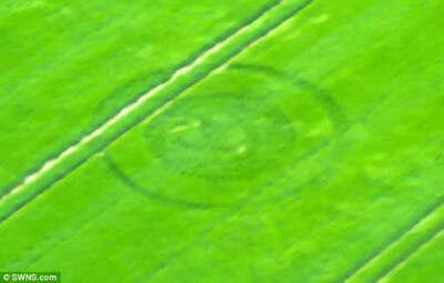 Misteri Crop Circle
