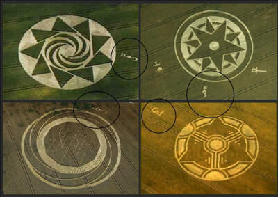 Misteri Crop Circle