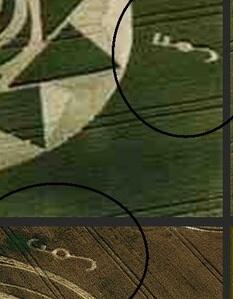 Misteri Crop Circle