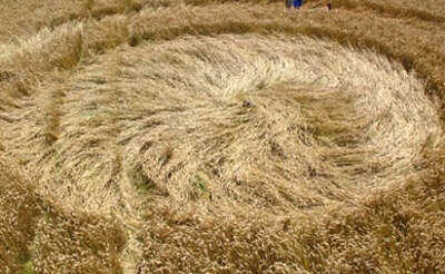 Misteri Crop Circle