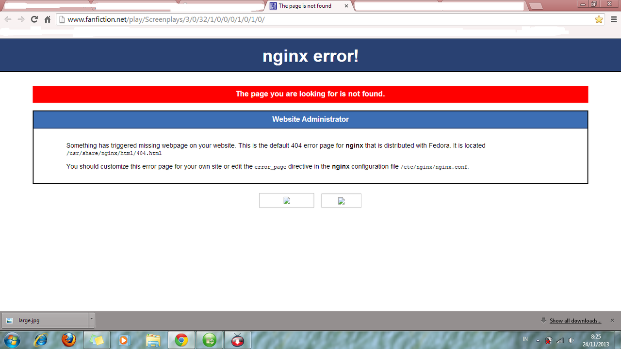 Internal nginx error