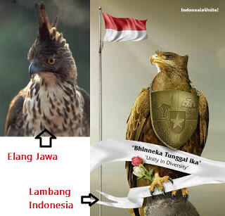 »Garuda« Lambang Indonesia Bukanlah »Elang Jawa«