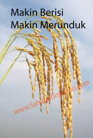 Belajar Sederhana Walau Mampu