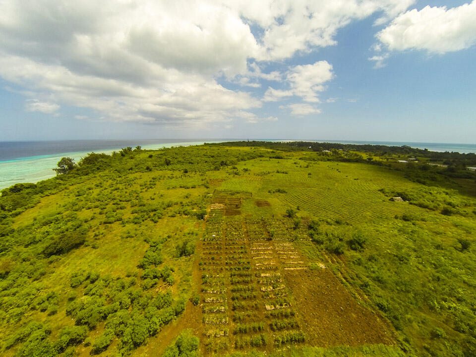 Pemba Island, Surga di Lepas Pantai Timur Afrika