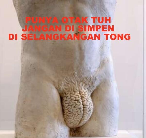 Type Type BRA sesuai Kegunaan nya Mas bro.. monggo
