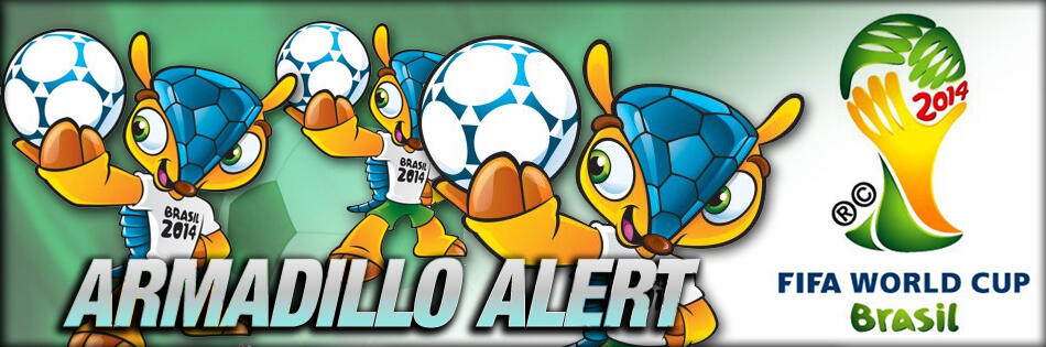 10 PEMAIN TOP YANG GAGAL LOLOS PIALA DUNIA 2014