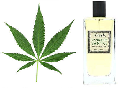 &#91;UNIK&#93; Parfum dengan aroma yang tidak biasa