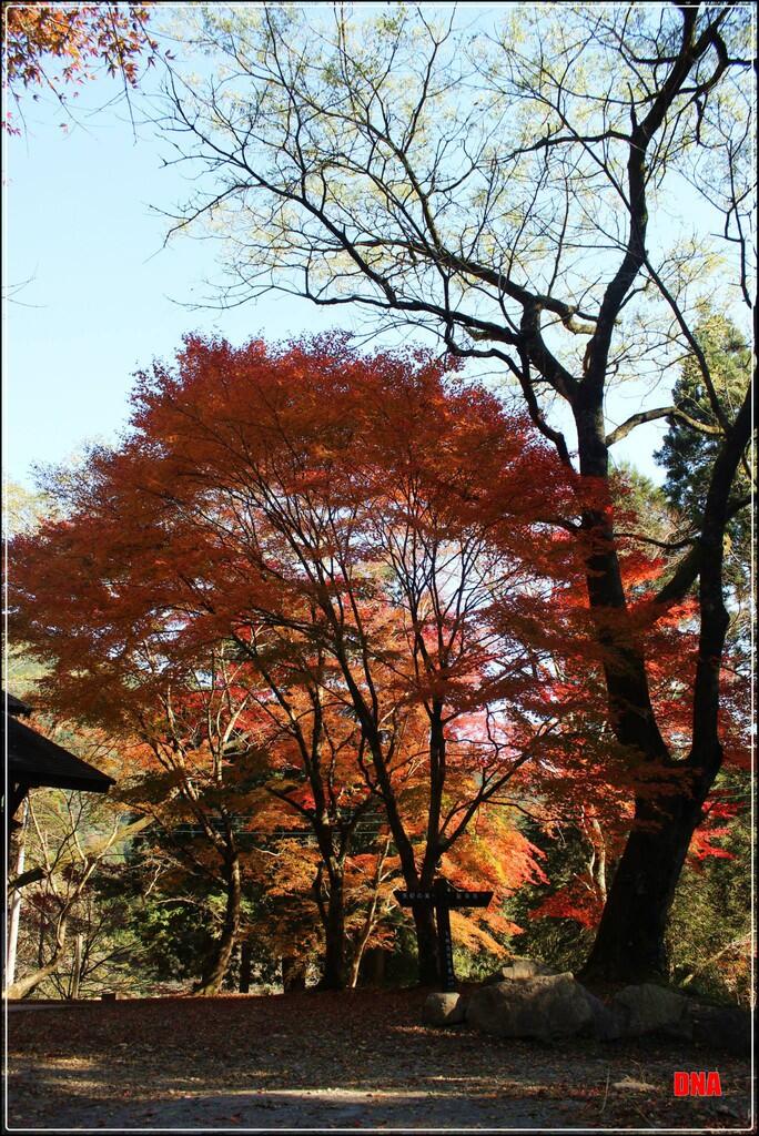 Satu dari sekian tempat indah di japan