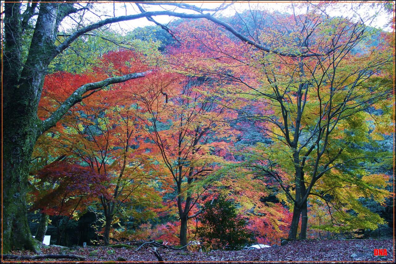 Satu dari sekian tempat indah di japan