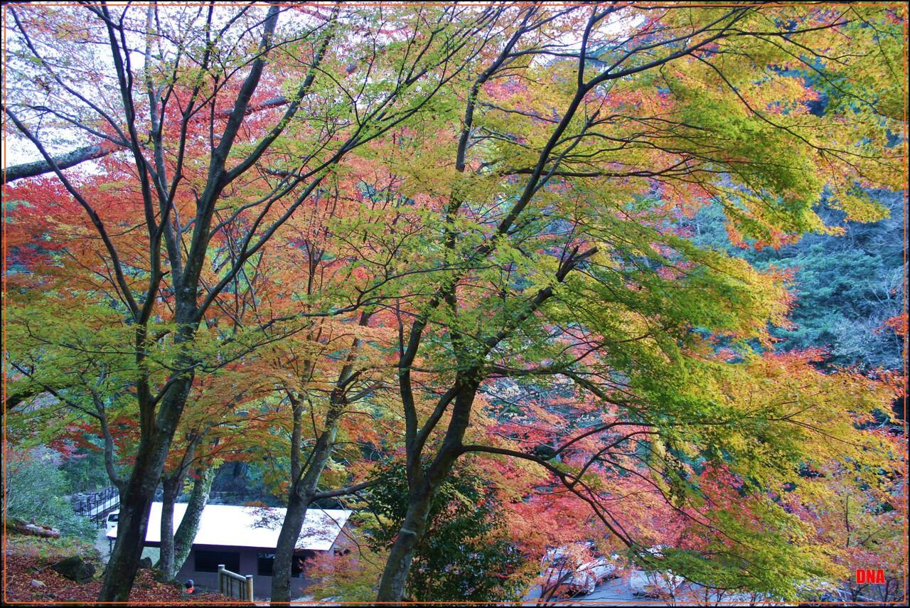 Satu dari sekian tempat indah di japan