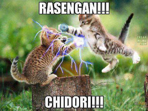 gini nih kalo kucing udah gila ma serial naruto.