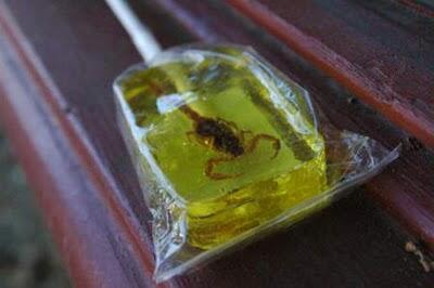 10 Santapan Lezat Berbahan Serangga #