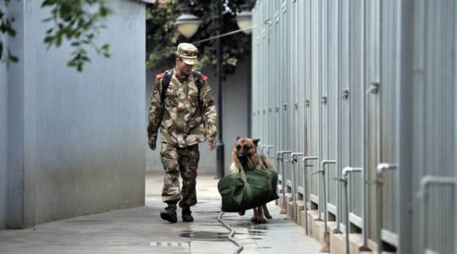 Perpisahan Sedih Anjing Dan Tentara Rekan Kerjanya