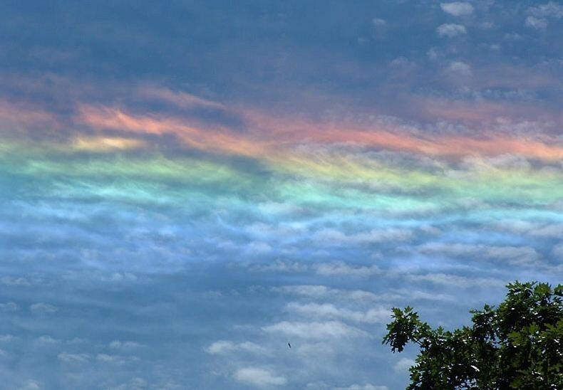 &#91;Fire Rainbow&#93; Pelangi Api Fenomena Langit yang Langka dan Menakjubkan