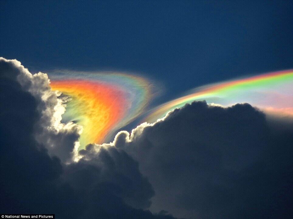 &#91;Fire Rainbow&#93; Pelangi Api Fenomena Langit yang Langka dan Menakjubkan