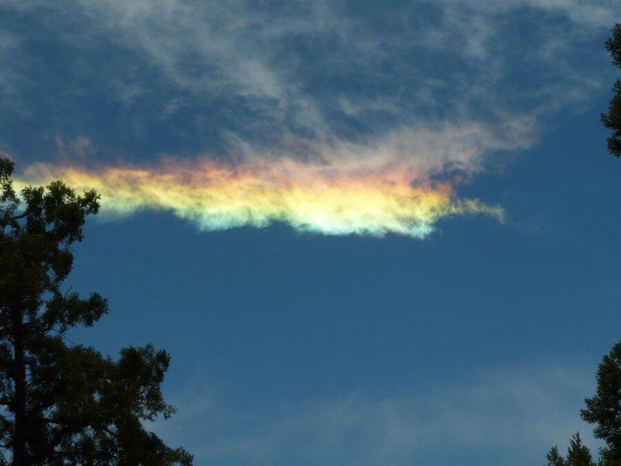 &#91;Fire Rainbow&#93; Pelangi Api Fenomena Langit yang Langka dan Menakjubkan