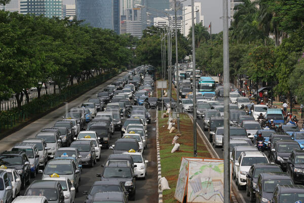 Demi MRT, 1.260 pohon hutan kota rela tumbang