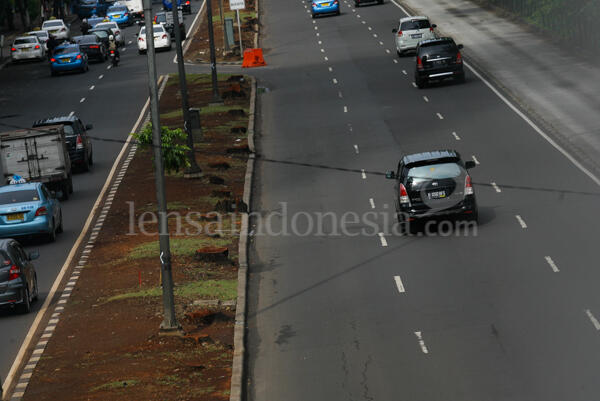 Demi MRT, 1.260 pohon hutan kota rela tumbang
