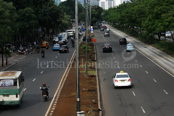 Demi MRT, 1.260 pohon hutan kota rela tumbang