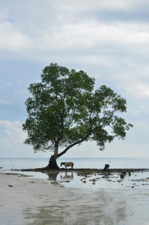 Keindahan Pantai Biduk-Biduk Berau Provinsi Kalimantan Timur