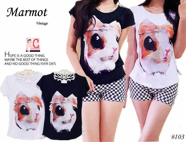 Kaos korea vintage marmot bahan spandex