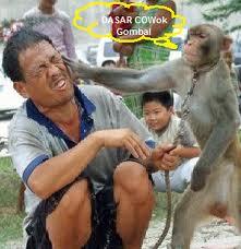 Lucu-lucuan buat nemenin agan2 sekalian !!!!