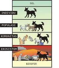MAHLUK HIDUP DAN EKOSISTEM ALAMI