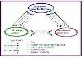 MAHLUK HIDUP DAN EKOSISTEM ALAMI