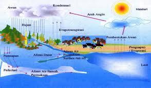 MAHLUK HIDUP DAN EKOSISTEM ALAMI