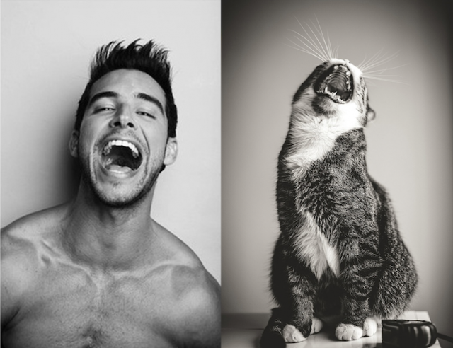 Hot &amp; Lucu ...... Cowok &amp; Kucing