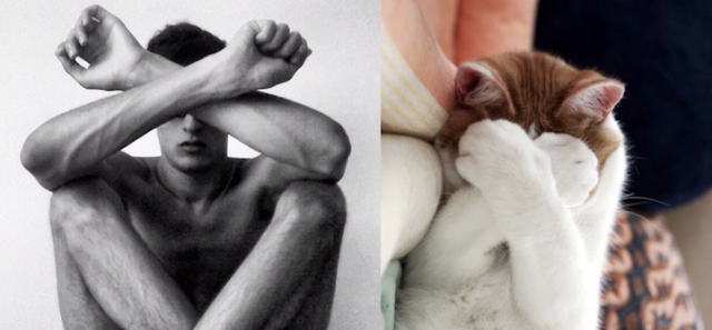 Hot &amp; Lucu ...... Cowok &amp; Kucing