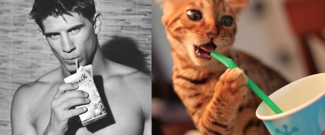 Hot &amp; Lucu ...... Cowok &amp; Kucing