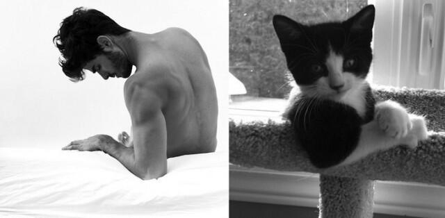 Hot &amp; Lucu ...... Cowok &amp; Kucing